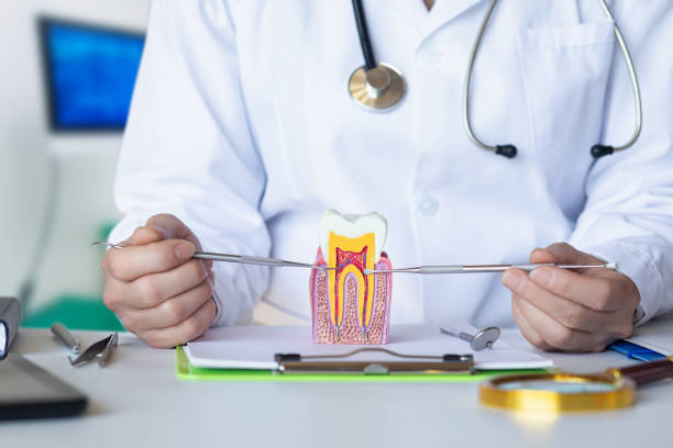 Best Emergency Root Canal Therapy in Dewitt, MI